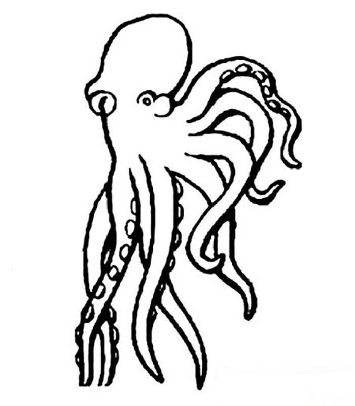章鱼简笔画图片大全 章鱼简笔画图片大全彩色可爱
