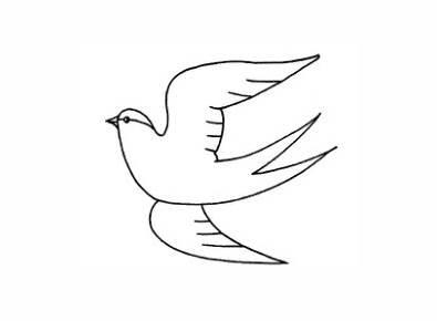 小燕子的简笔画图片大全 小燕子的简笔画图片大全大图