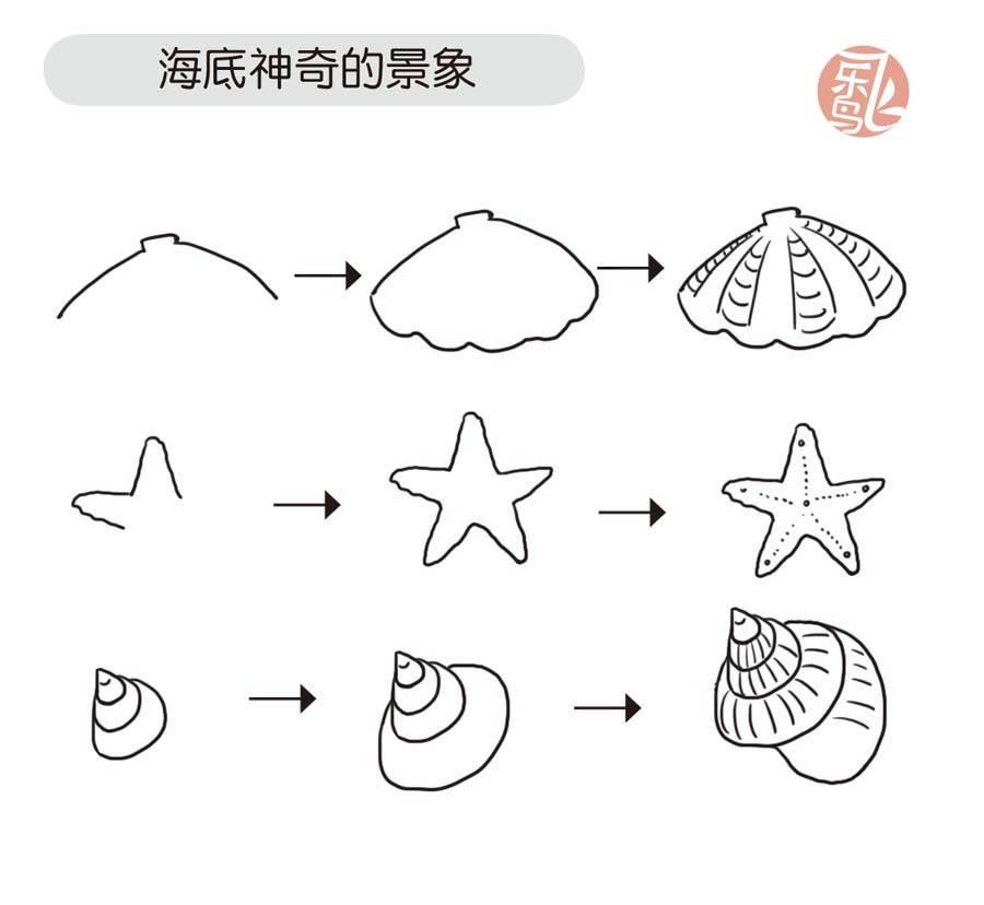 贝壳简笔画 贝壳简笔画儿童画