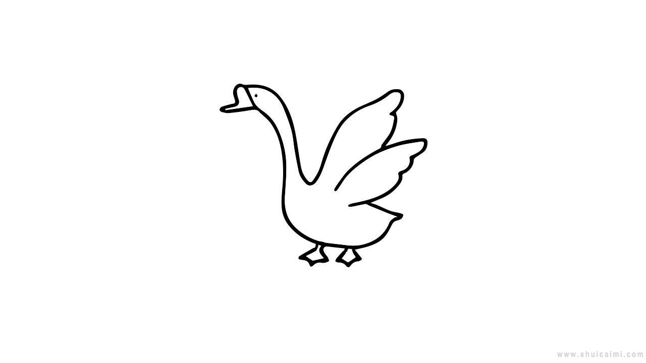 白鹅简笔画怎么画 白鹅简笔画图片