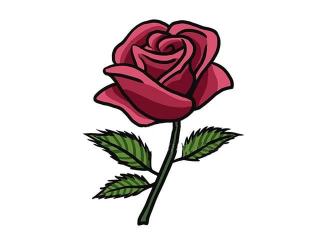 玫瑰花简笔画 玫瑰花简笔画简单漂亮