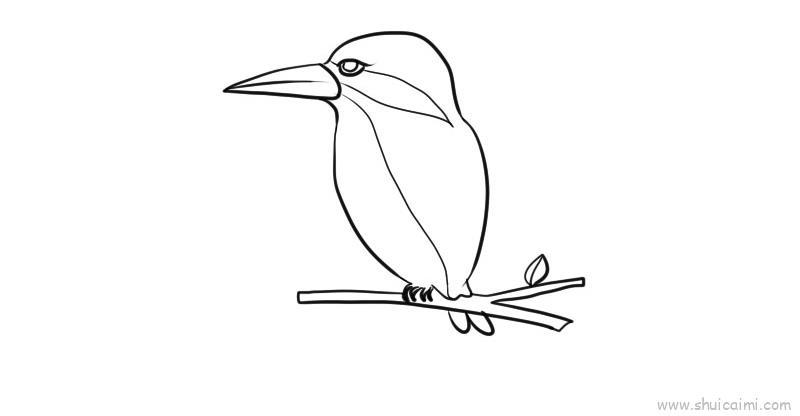 翠鸟儿童画怎么画 翠鸟简笔画好看