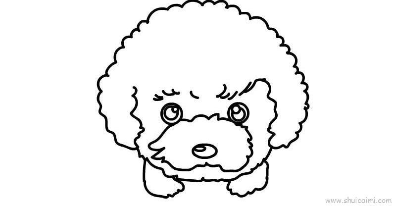 卷毛狗儿童画怎么画 卷毛狗简笔画简单