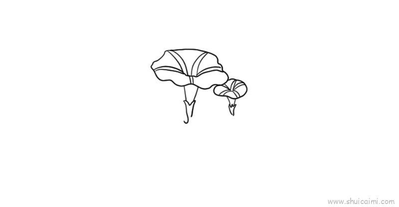 牵牛花儿童画怎么画 牵牛花简笔画好看