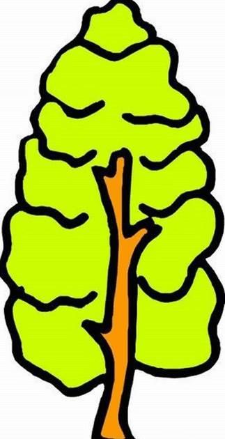 树简笔画 树简笔画彩色