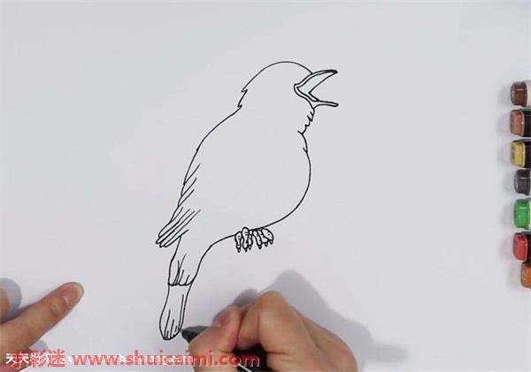 夜莺怎么画 夜莺简笔画画法