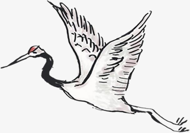 仙鹤简笔画 仙鹤简笔画简单又漂亮