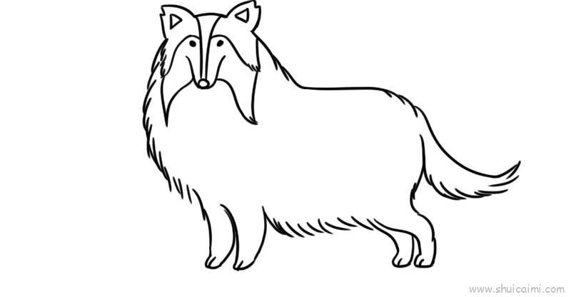 牧羊犬儿童画怎么画 牧羊犬简笔画简单又好看
