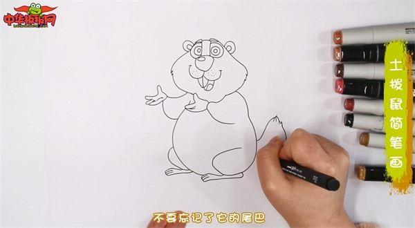 土拨鼠怎么画 土拨鼠简笔画简单易画彩色