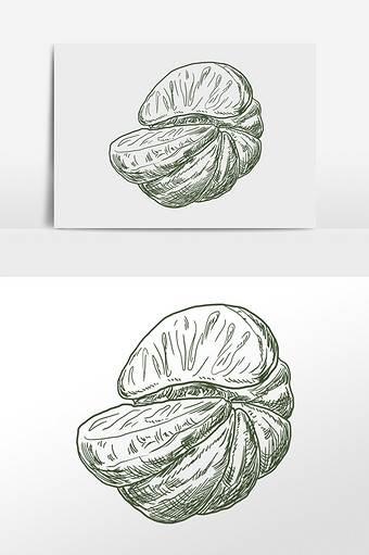 橘子简笔画 橘子简笔画图片