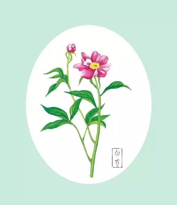 处暑的花简笔画 节气的简笔画怎么画