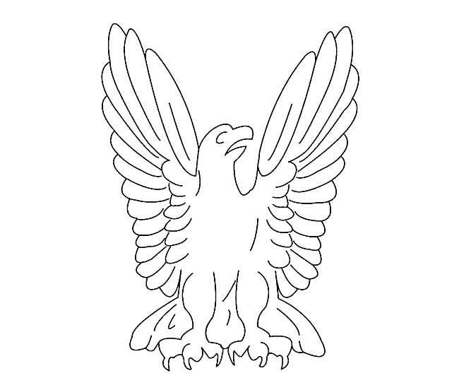 鹰简笔画 鹰简笔画图片