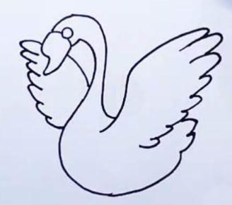 天鹅的简笔画图片大全 天鹅的简笔画图片大全可爱
