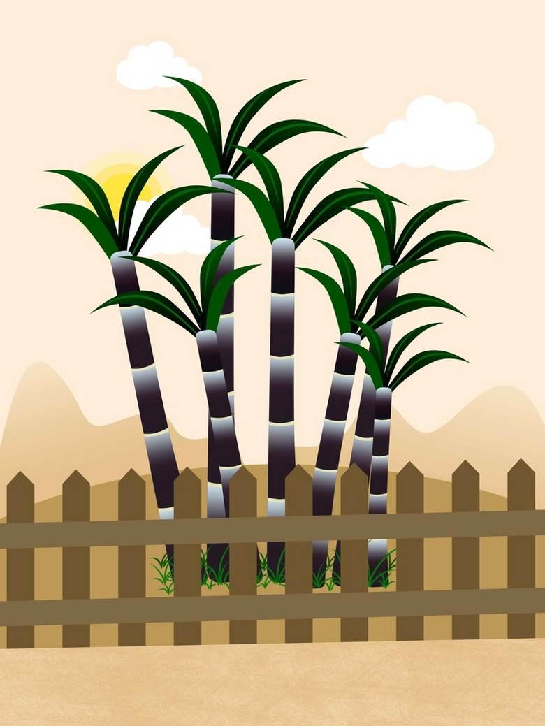 甘蔗简笔画 甘蔗简笔画彩色