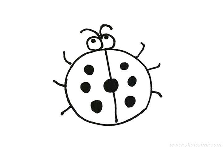 七星瓢虫怎么画 七星瓢虫简笔画步骤图