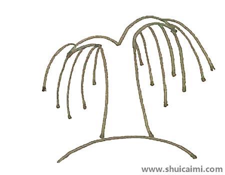 柳树彩色儿童简笔画