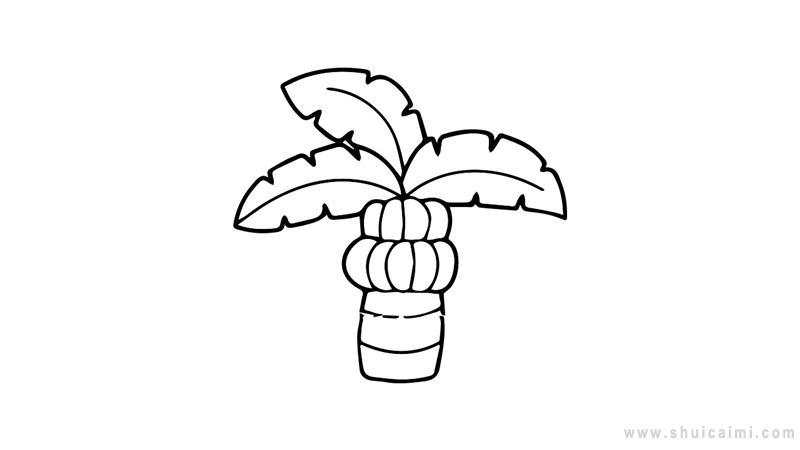 芭蕉树简笔画怎么画 芭蕉树简笔画步骤