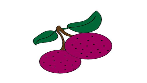 杨梅的简笔画怎么画 杨梅简笔画简单又好看