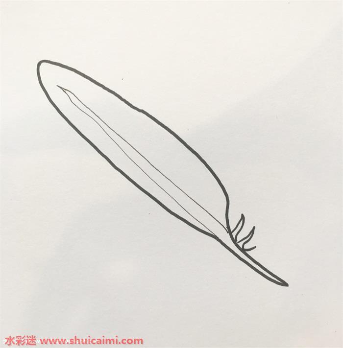 羽毛怎么画 羽毛简笔画步骤