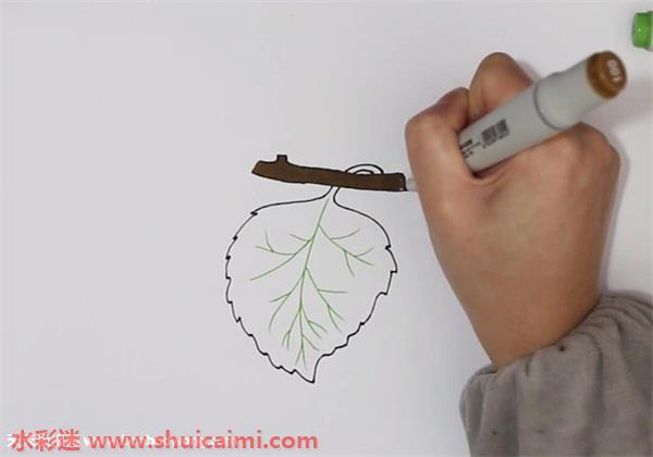 桑叶怎么画 桑叶简笔画步骤图