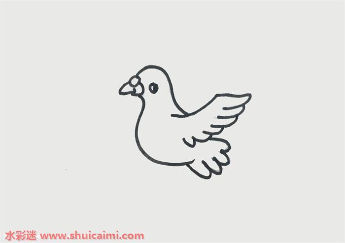 鸽子怎么画 鸽子简笔画画法