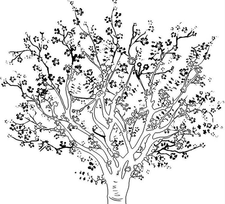 简笔画树 简笔画树怎么画简单又好看