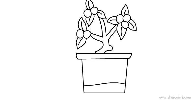 冬珊瑚儿童画怎么画 冬珊瑚简笔画简单