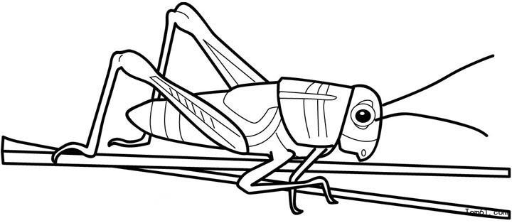 昆虫类简笔画儿童图片大全 儿童简笔画昆虫