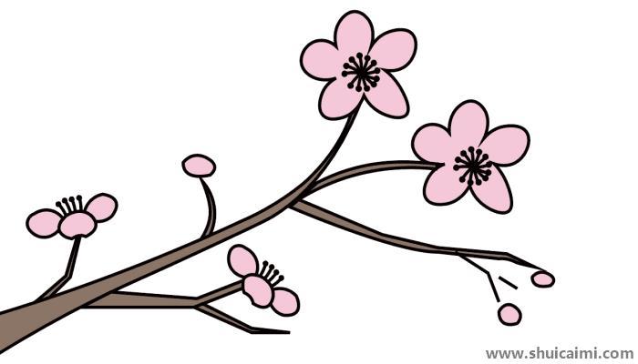 梅花配图简笔画怎么画 梅花配图简笔画步骤