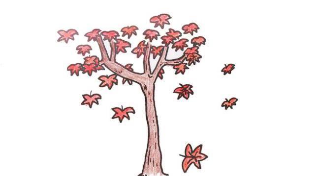 枫树简笔画 枫树简笔画图片大全大图
