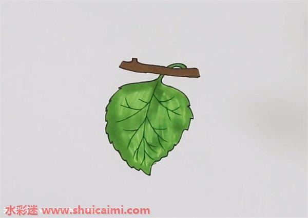 桑叶怎么画 桑叶简笔画步骤图