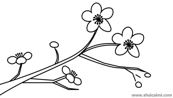 梅花配图简笔画怎么画 梅花配图简笔画步骤