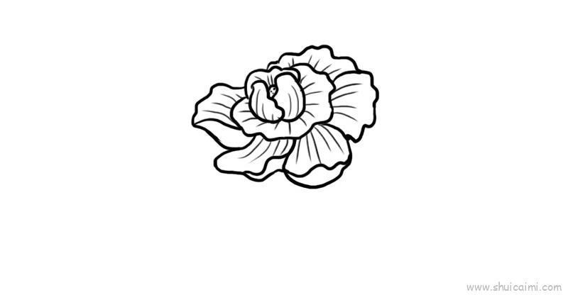 芙蓉花儿童画怎么画 芙蓉花简笔画简单又好看