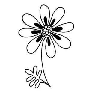菊花的简笔画 菊花的简笔画图片