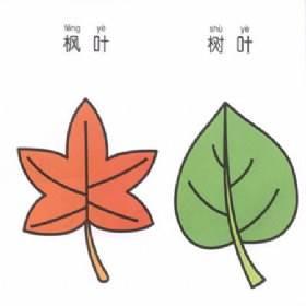 树叶的简笔画 树叶的简笔画简单又漂亮