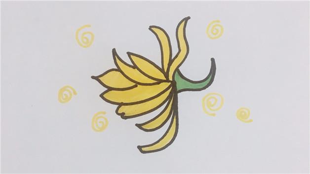 昙花的简笔画怎么画 昙花简笔画好看