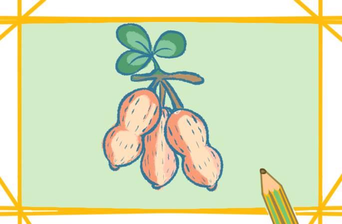 花生简笔画 花生简笔画简单又好看