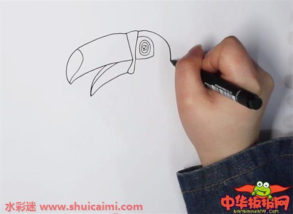 巨嘴鸟怎么画 巨嘴鸟简笔画图片大全带颜色
