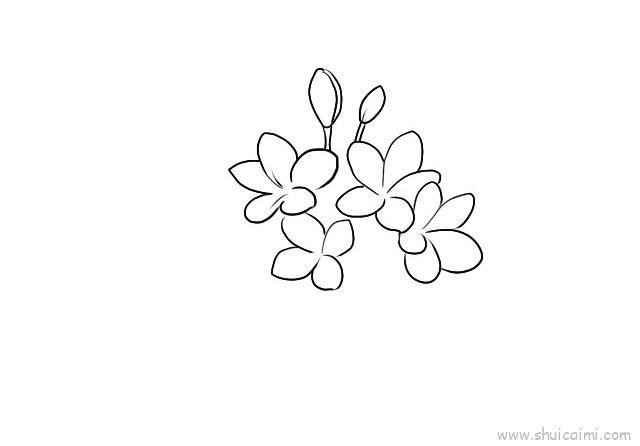 鸡蛋花儿童画怎么画 鸡蛋花简笔画步骤