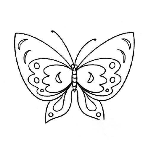 蝴蝶简笔画 蝴蝶简笔画彩色