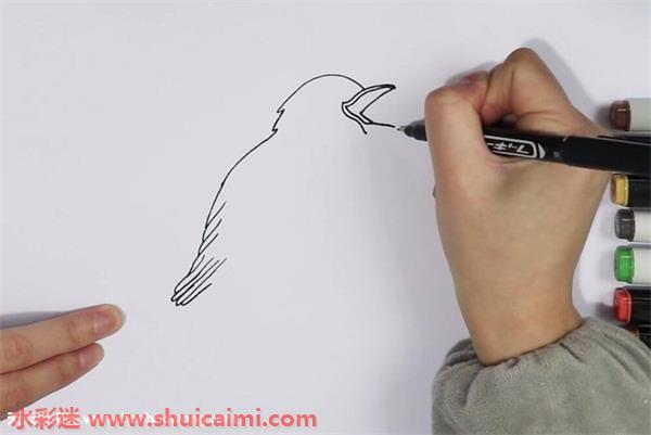 夜莺怎么画 夜莺简笔画画法