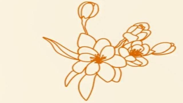 海棠花简笔画 怎样画海棠花简笔画