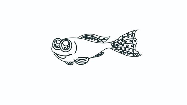 孔雀鱼简笔画怎么画 孔雀鱼简笔画步骤