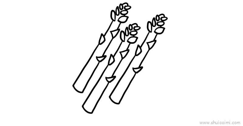 芦笋儿童画怎么画 芦笋简笔画顺序