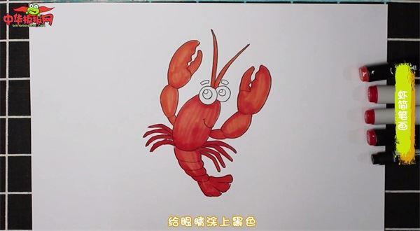 虾怎么画 虾简笔画图片带颜色