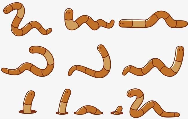 蚯蚓简笔画 蚯蚓简笔画彩色