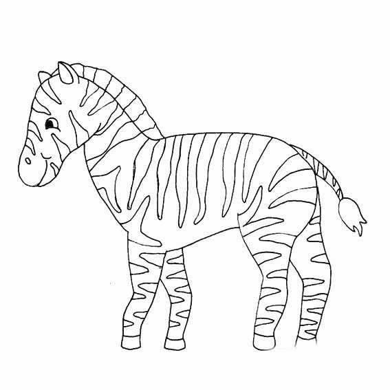 斑马简笔画 河马简笔画图片大全