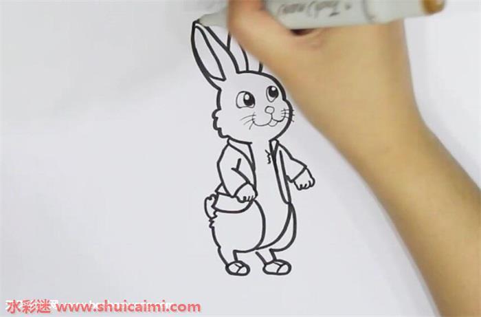 小兔子本杰明怎么画 小兔子本杰明简笔画彩色