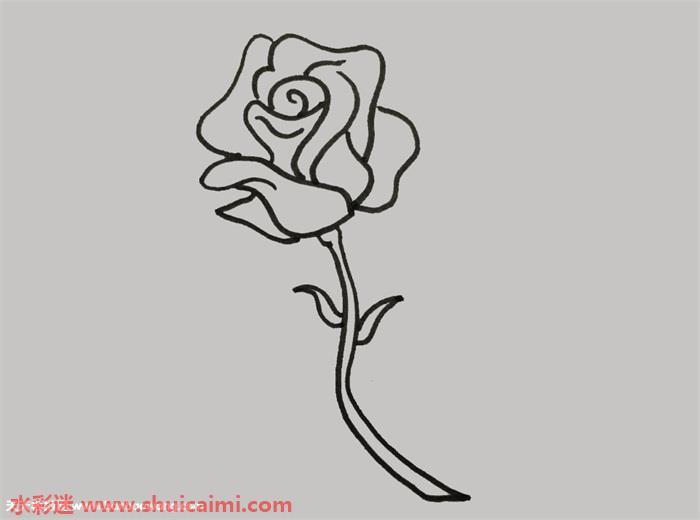 蔷薇花怎么画 蔷薇花简笔画画法