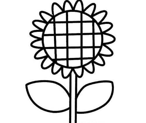 简笔画向日葵
